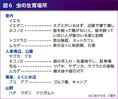 図6 虫の生育場所